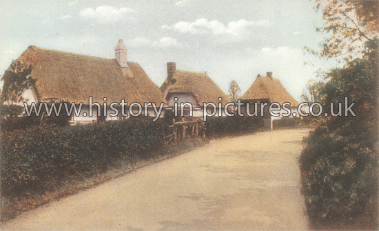 Patmore End, Ugley, Essex. c.1920's